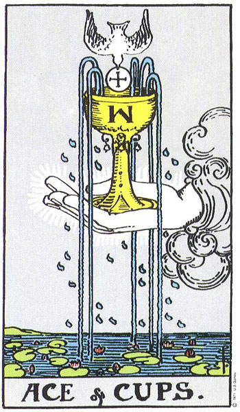 cups01.jpg