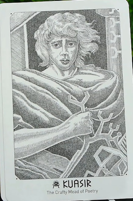 kvasir.png